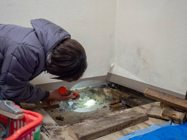 Best Mold Documentation for Insurance Claims  in Columbus, IN