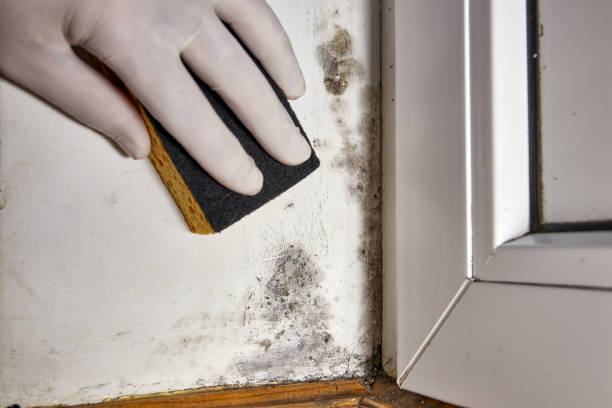 Best Indoor Air Quality Assessment  in Columbus, IN